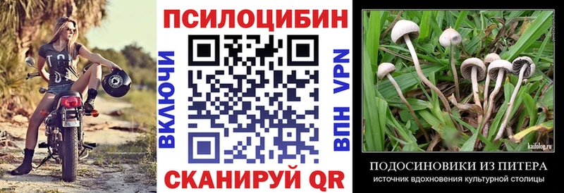 Псилоцибиновые грибы GOLDEN TEACHER  Купить закладки  Дальнегорск 